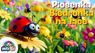 🎶 Biedronka na Łące 🐞  Wesoła Piosenka dla Dzieci  Nauka przez Zabawę 🌼 [upl. by Elaen]