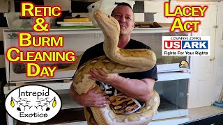 🐍 Burmese and Reticulated Python Handling amp Enclosure Cleaning Day [upl. by Michaud]