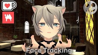 Kuutaくうた  Face Tracking Addon V2 [upl. by Olney]