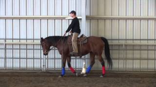 Posting The Trot  5 Minute Horse Lessons [upl. by Rod]