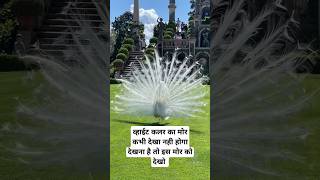 Most Romantic Hindi Songs  New Hindi Songs 2024 [upl. by Budde372]