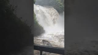 😳Looking Glass Falls Brevard NC after Hurricane Helene 😮😮😮 hurricanehelene helene [upl. by Aicatsana]