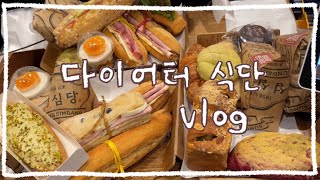 vlog  다이어터인데 성심당 미니초코튀소 존맛  올영 단쉐 ㅊㅊ  신상 오사쯔맛 팝콘  다이어트 일반식 식단 [upl. by Isador302]