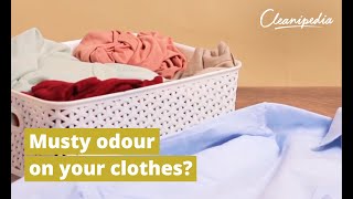 How To Remove Damp Smell From Clothes And Get Rid Of Musty Odours  Cleanipedia [upl. by Cadal]