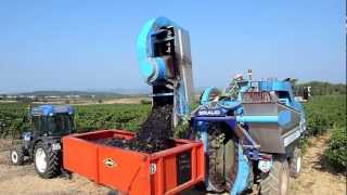 Grape harvesting machine BRAUD Languedoc [upl. by Aikas260]