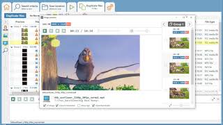 Duplicate Cleaner 5 Preview  Video Matching [upl. by Armington]