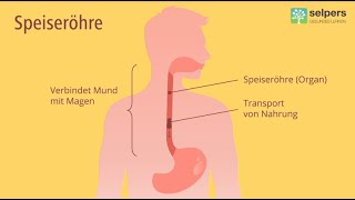 Chronische Entzündung der Speiseröhre  Eosinophile Ösophagitis Arzt erklärt [upl. by Leumel]