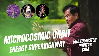 What is the microcosmic orbit Bodys energy superhighway explained by Grandmaster Mantak Chia [upl. by Leasia]