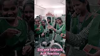 Zinc and Sulphuric acid Reaction  My Class  Laboratory Experiments [upl. by Auberbach]