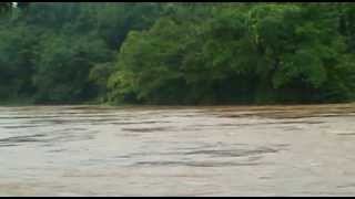 കേരളത്തിലെ മഴക്കാല കാഴ്ചകൾ  Monsoon in Kerala [upl. by Idnod]