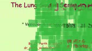 Breath Sound Bronchial vs Vesicular [upl. by Ah]