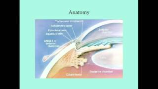 Uveitis  CRASH Medical Review Series [upl. by Yhtorod]