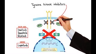 Pharmacology  CANCER DRUGS – CELL CYCLE INHIBITORS MADE EASY [upl. by Canale143]