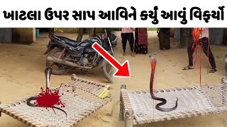 સાપને દૂધ પાવા જતા કરડી ગયો😯 ખાટલા ઉપર આવિને આપે કર્યું આવું 🧐 અસલી નાગનો વિડીઓ જુઓ gujarati movie [upl. by Hassadah]