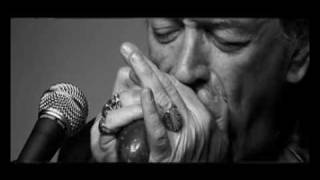 Charlie Musselwhite w Richard Bargel [upl. by Ekyt608]