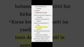 Dubbisa Macaafa Qulqulluu guyyaa guyyaan Kutaa 1ffaa  ዕለታዊ የመጽሐፍ ቅዱስ ንባብ ክፍል 1 [upl. by Laerdna661]