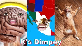 NEWEST ItsDimpey Shorts Compilation 5  Funny Dimpey6 TikToks [upl. by Reitman]