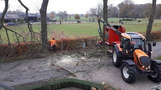 Boer Gerrit vlogt  Het kappen van een boom [upl. by Kauppi]