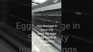 Egg Shortage Whats Next shorts [upl. by Mauri]