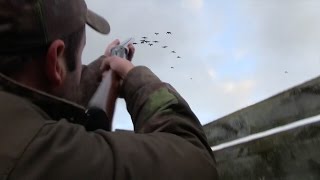 The Shooting Show – geese and grouse in Scotland PLUS the Anschütz 1770 [upl. by Haleehs]