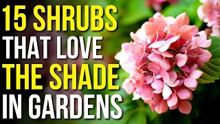 15 Shrubs That Love The Shade  Shrubs That Grow In Shade [upl. by Ahsikat858]