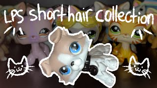 My LPS Shorthair Cat Collection [upl. by Blasien]