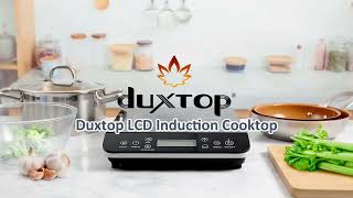 Duxtop Portable Induction Cooktop [upl. by Lerrej]