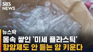 미세 플라스틱 항암제도 안 듣는 암 키운다  SBS  뉴스딱 [upl. by Kendell]