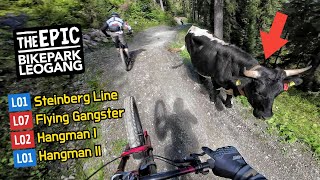 BIKEPARK LEOGANG 2023 alle leichten MTB Strecken  Steinberg Line Hangman 1 amp 2 Flying Gangster [upl. by Nohcim]