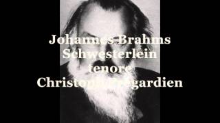 Brahms Johannes Schwesterlein tenore Christoph Prégardien [upl. by Aitahs]