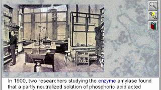 Biochemistry Buffers [upl. by Ebba]