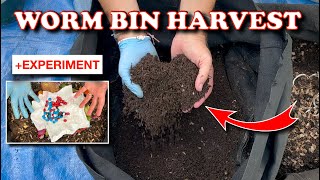 Harvest Every Time You Feed  Vermicompost Worm Farm [upl. by Yeltsew]