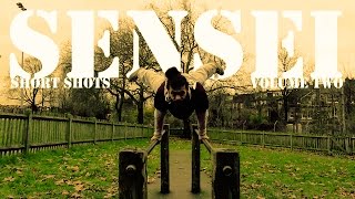 Short Shots Volume 2 Senseis Calisthenics [upl. by Nagap272]