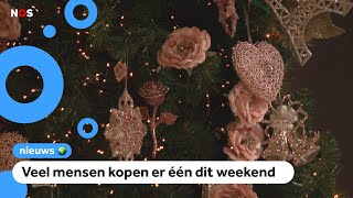 Drukte bij kerstboomverkopers grote bomen zijn populair [upl. by Komara]