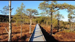 Winter in Fulufjället National Park in Dalarna Sweden [upl. by Irene]