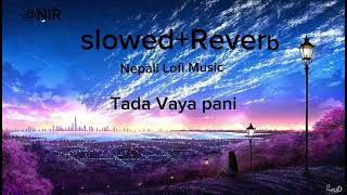 Tada Vaya pani mero Maya gada chani Nepali song Slowed and Rever Nepali Lofi Music [upl. by Ydnamron]