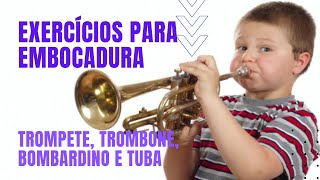 Exercício de embocadura  aula 2  Trompete Trombone Bombardino Tuba [upl. by Otrebide867]