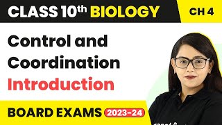 Control and Coordination  Quick Revision  Class 10 Science Chapter 6 [upl. by Lyreb271]