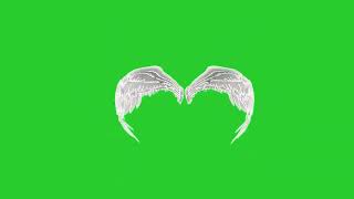 White Angel Wings Green Screen  free green screen angel wing chroma key 3d animation [upl. by Elac513]