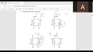 A level Biology 9700 Paper 13 May June 2024 Q1 to 20  Part1 [upl. by Jinny267]