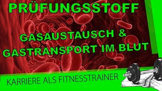 Prüfungsstoff BLizenz Gasaustausch und Gastransport im Blut [upl. by Ahsoem]