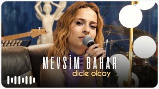 Dicle Olcay  Mevsim Bahar Akustik [upl. by Rusell]