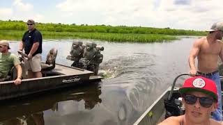 Gator Tail’s in Spanish Lake Louisiana [upl. by Ayor188]