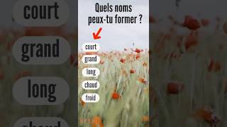 5 NOMS formés avec des ADJECTIFS Vocabulaire en français facile [upl. by Walsh]