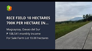 RICE FIELD 10 HECTARES 700K PER HECTARE IN MAGSAYSAY DAVAO DEL SUR [upl. by Rebbecca]