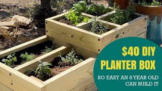 Easy DIY Planter Box  40 Divided Garden Bed An 8 Year Old Can Build [upl. by Ahsenod]