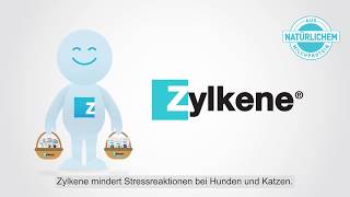 Zylkene  stressige Situationen mit Ihrem Hund oder Ihrer Katze meistern [upl. by Lesslie]