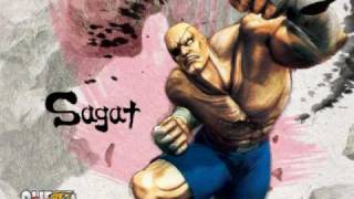 Super Street Fighter IV  Theme of Sagat [upl. by Zebadiah708]