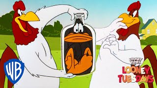 Looney Tuesdays  Iconic Characters Foghorn Leghorn  Looney Tunes  WB Kids [upl. by Vtarj737]