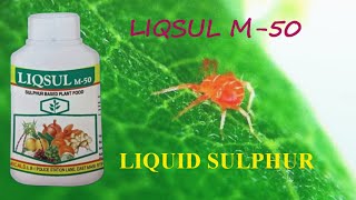 LIQSUL M50 Micronol Tamil  Linga Chemicals Liquid Sulphur  Miticide  Fungicide  PGR [upl. by Llertrac24]